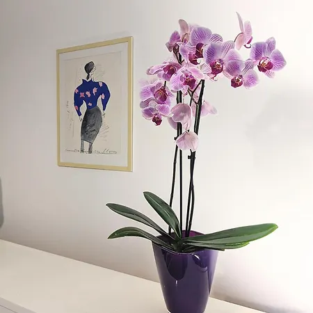 Apartament Maison Paisible Jardin & Jacuzzi A 500m De Paris Pantin